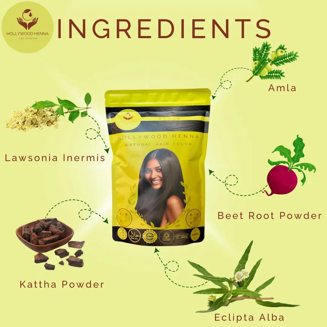 Black Henna Hair Color Pouch - Ammonia - Free, Organic, and Long - Lasting (0.5 lbs) - HOLLYWOOD HENNA