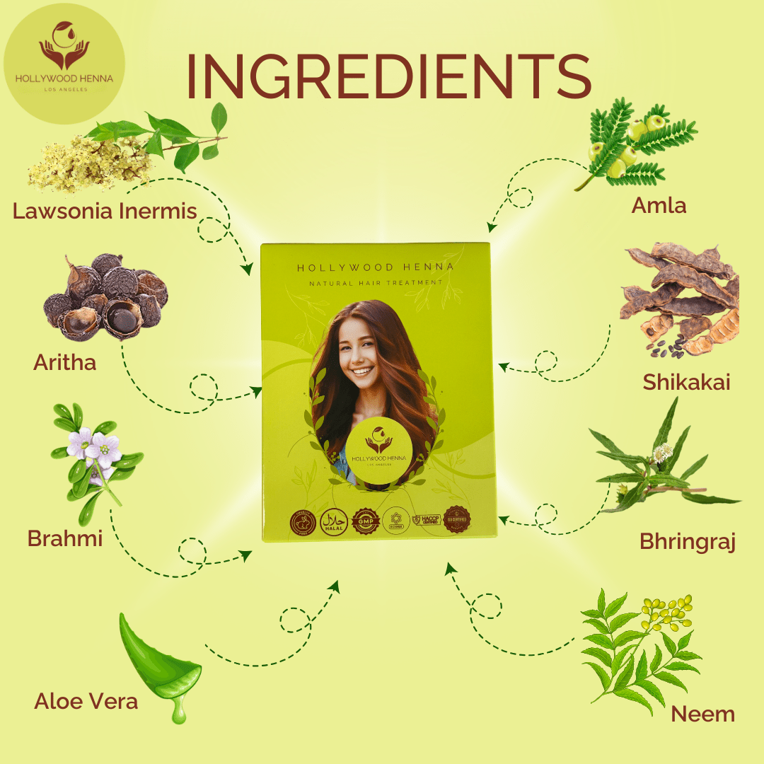 Herbal Henna Box - Natural Hair Treatment - Organic & Ammonia - Free, with Application Tools (0.22 lbs) - HOLLYWOOD HENNA