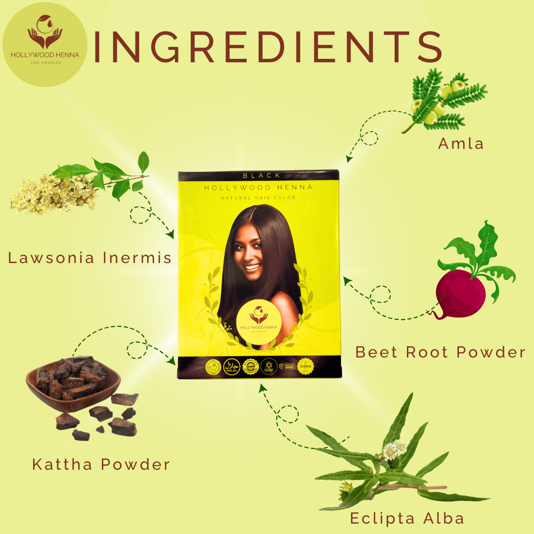 Black Henna Hair Color Kit - Ammonia - Free, Organic, with Application Tools (0.5 lbs) - HOLLYWOOD HENNA