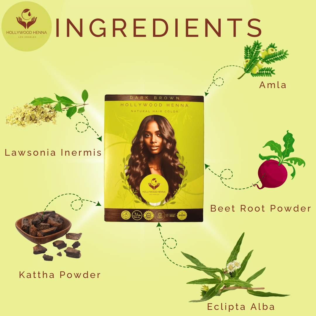 Dark Brown Henna Hair Color kit - Ammonia - Free, Organic, with Application Tools (0.22 lbs) - HOLLYWOOD HENNA