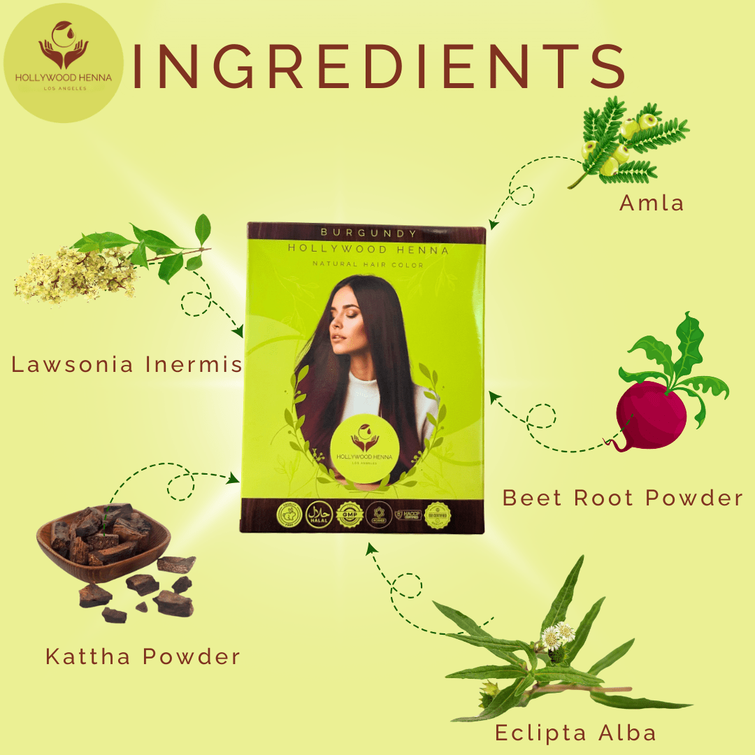 Burgundy Henna Hair Color Kit - Ammonia - Free, Organic, with Application Tools (0.22 lbs) - HOLLYWOOD HENNA