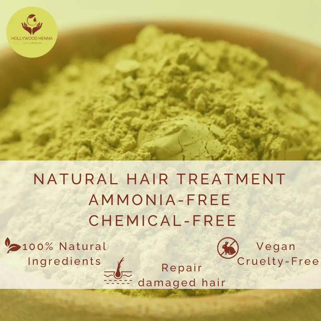Herbal Henna Box - Natural Hair Treatment - Organic & Ammonia - Free, with Application Tools (0.22 lbs) - HOLLYWOOD HENNA