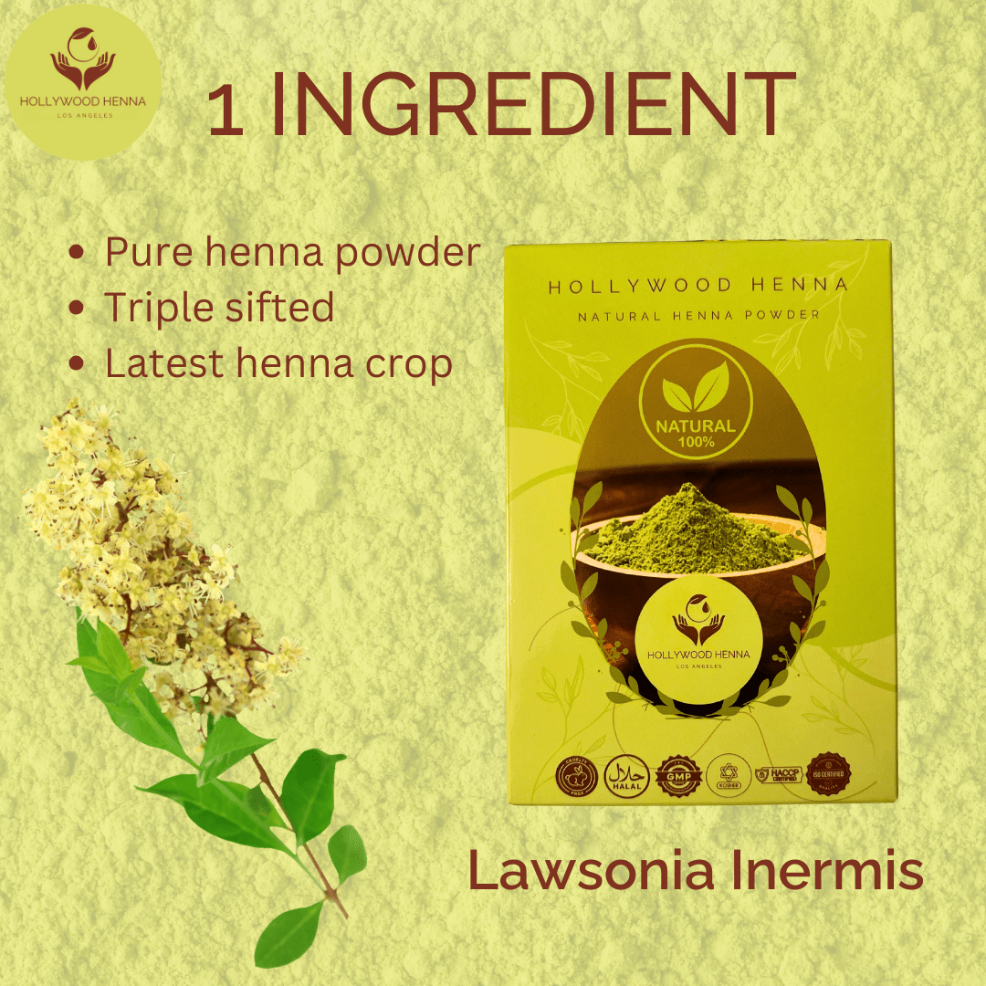 Natural Henna Powder Box - Ammonia - Free - Treatment (0.22 lbs) - HOLLYWOOD HENNA