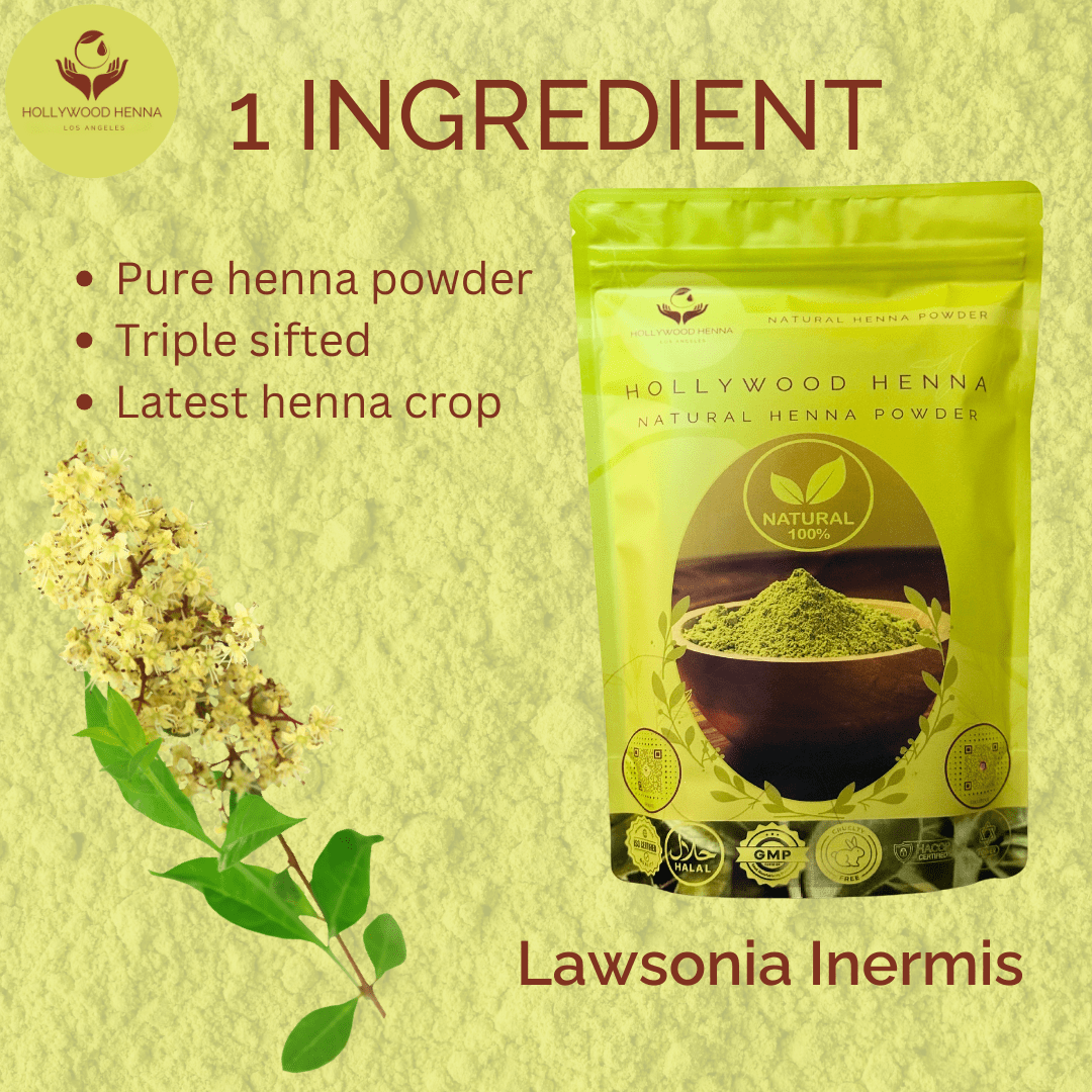 Natural Henna Powder Pouch - Ammonia - Free, Chemical - Free Hair Treatment (0.5 lbs) - HOLLYWOOD HENNA