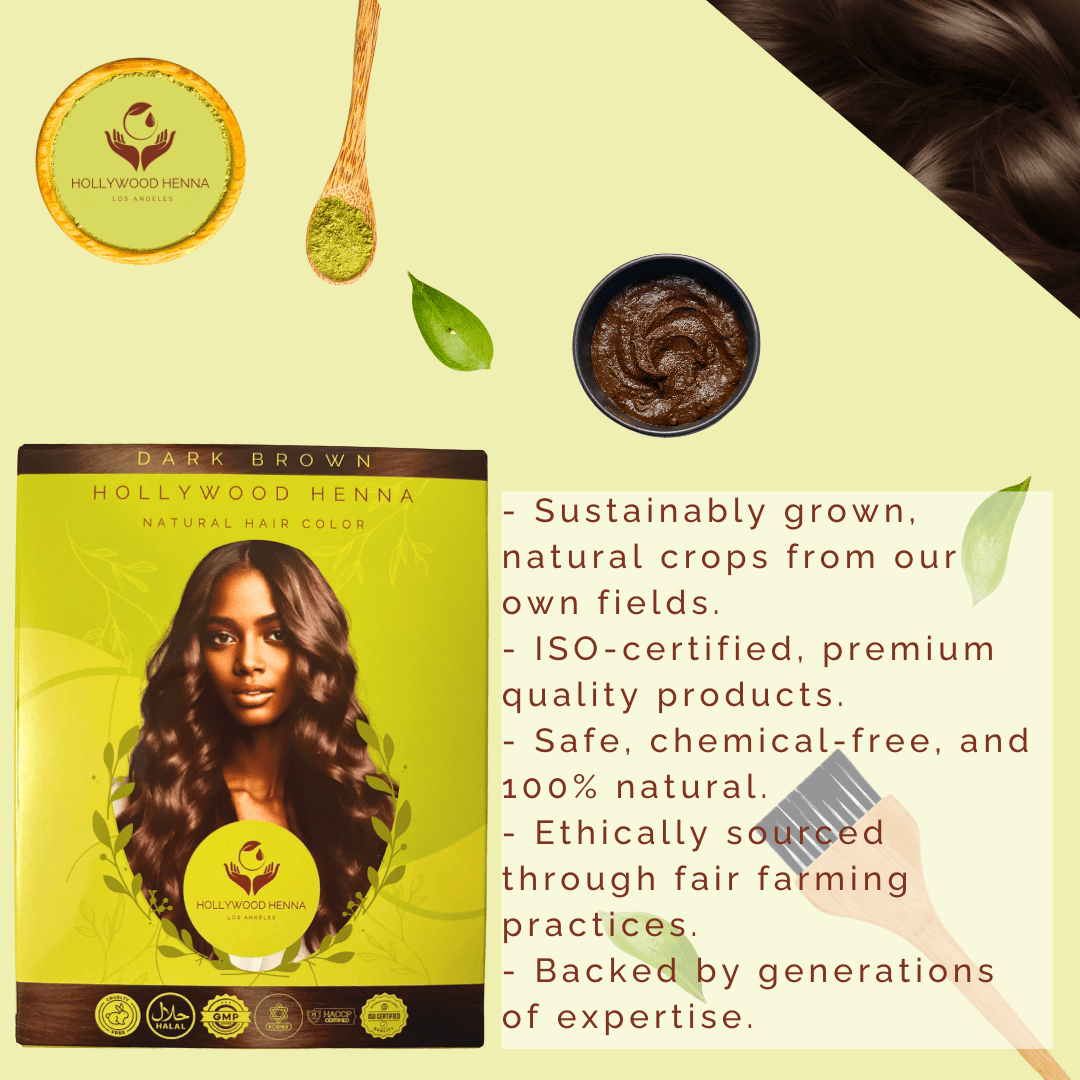 Dark Brown Henna Hair Color kit - Ammonia - Free, Organic, with Application Tools (0.22 lbs) - HOLLYWOOD HENNA