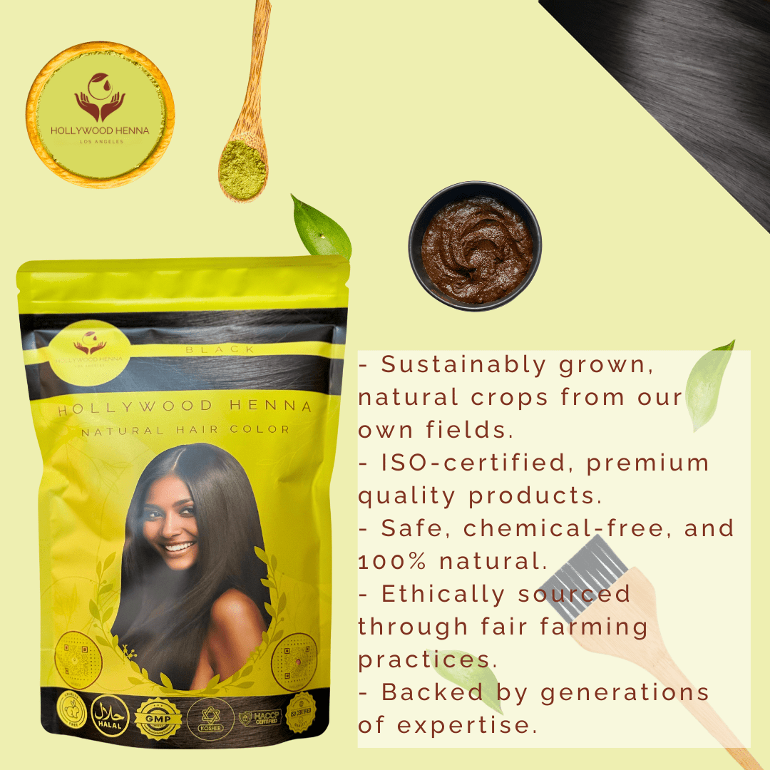 Black Henna Hair Color Pouch - Ammonia - Free, Organic, and Long - Lasting (0.5 lbs) - HOLLYWOOD HENNA