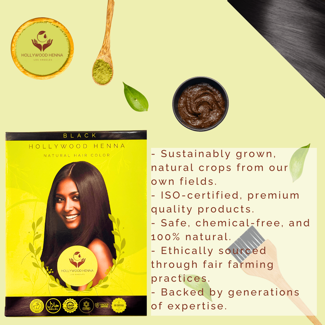Black Henna Hair Color Kit - Ammonia - Free, Organic, with Application Tools (0.5 lbs) - HOLLYWOOD HENNA