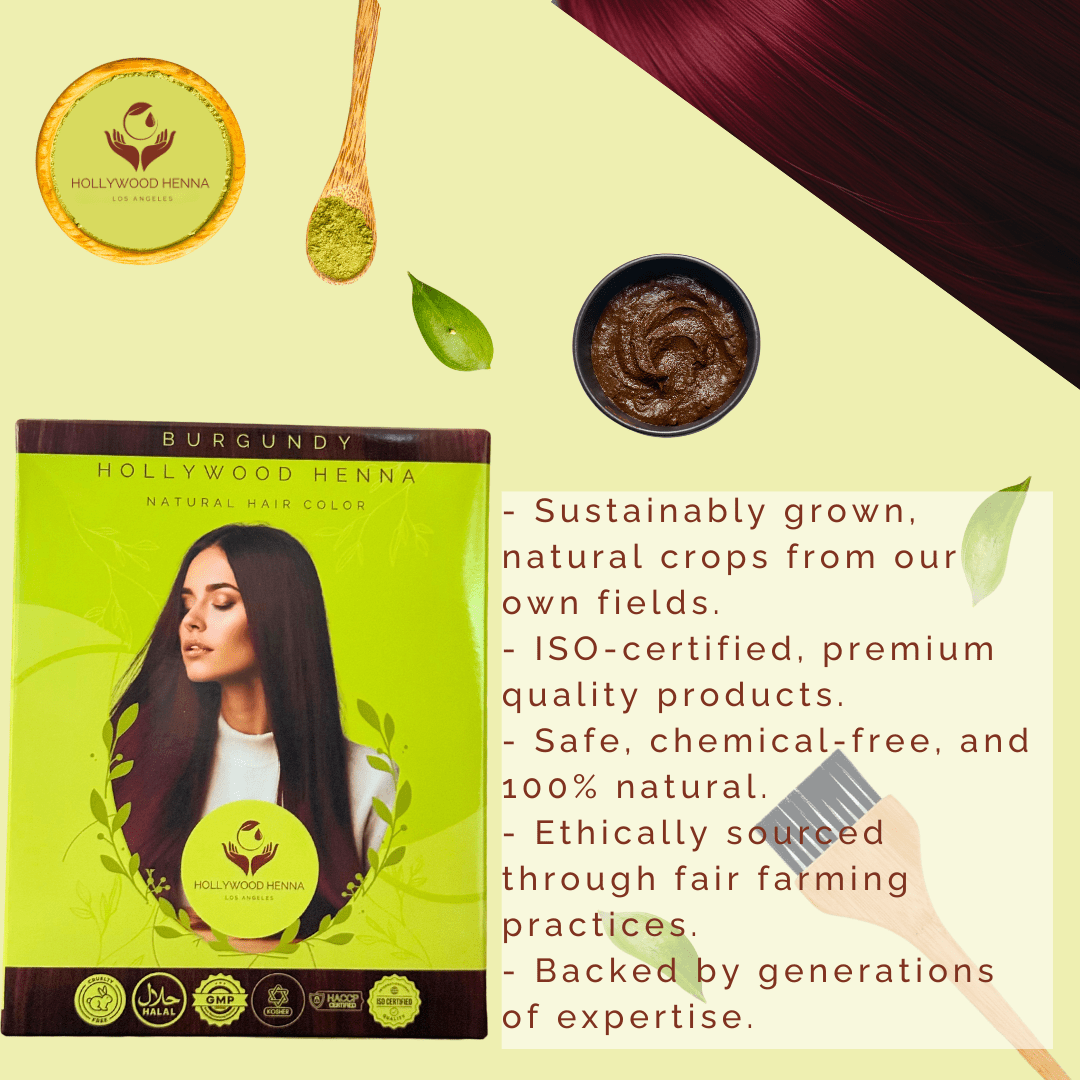 Burgundy Henna Hair Color Kit - Ammonia - Free, Organic, with Application Tools (0.22 lbs) - HOLLYWOOD HENNA