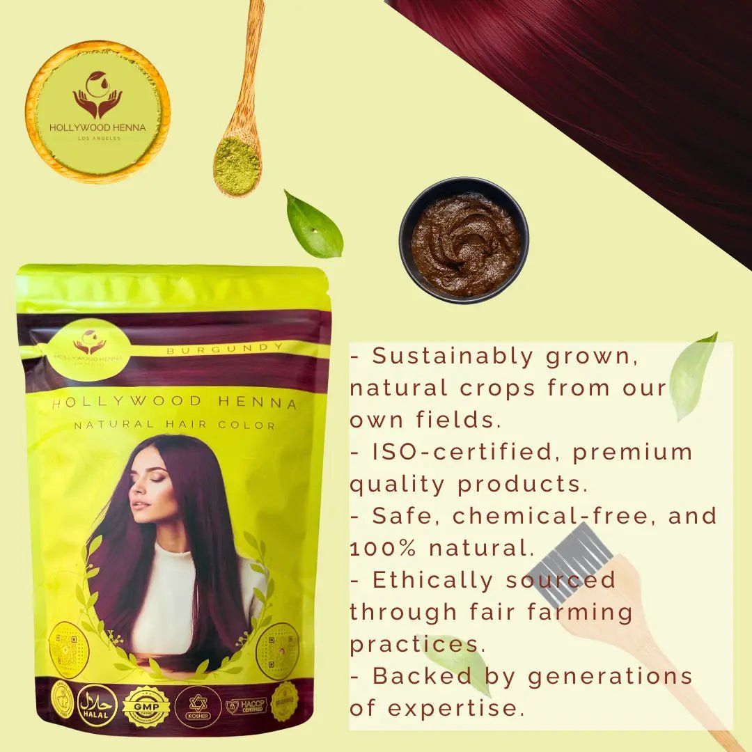 Burgundy Henna Hair Color Pouch - Ammonia - Free, Organic, and Long - Lasting (0.5 lbs) - HOLLYWOOD HENNA