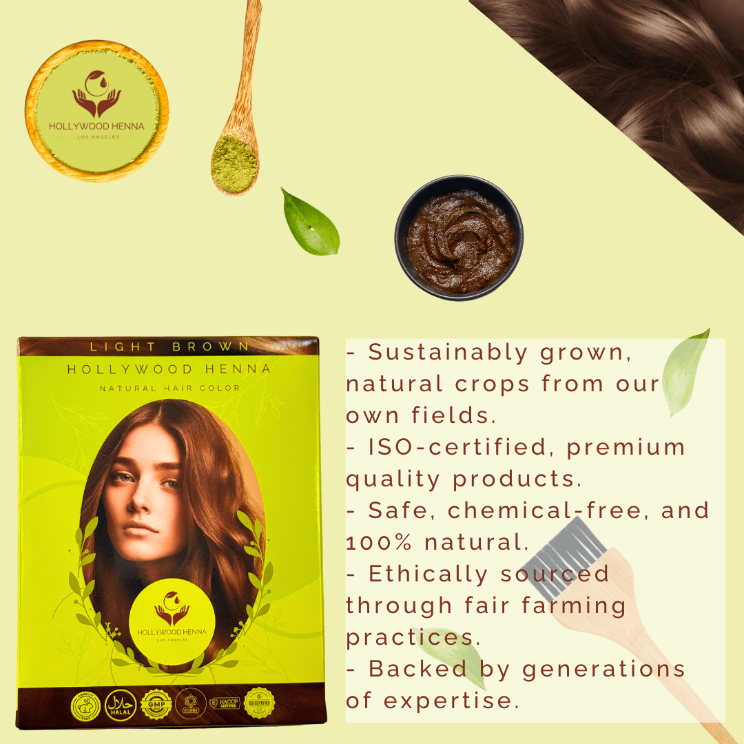 Light Brown Henna Hair Color Kit - Ammonia - Free, Organic, with Application Tools (0.22 lbs) - HOLLYWOOD HENNA