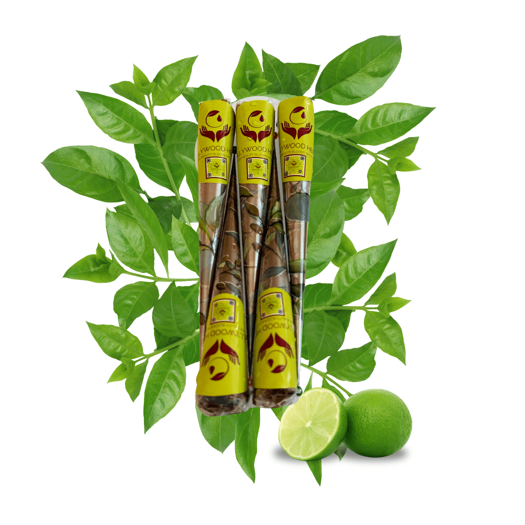 5 Handmade Henna Cones - Freshly Prepared 100% Natural Henna Paste (15-18g Each) HOLLYWOOD HENNA