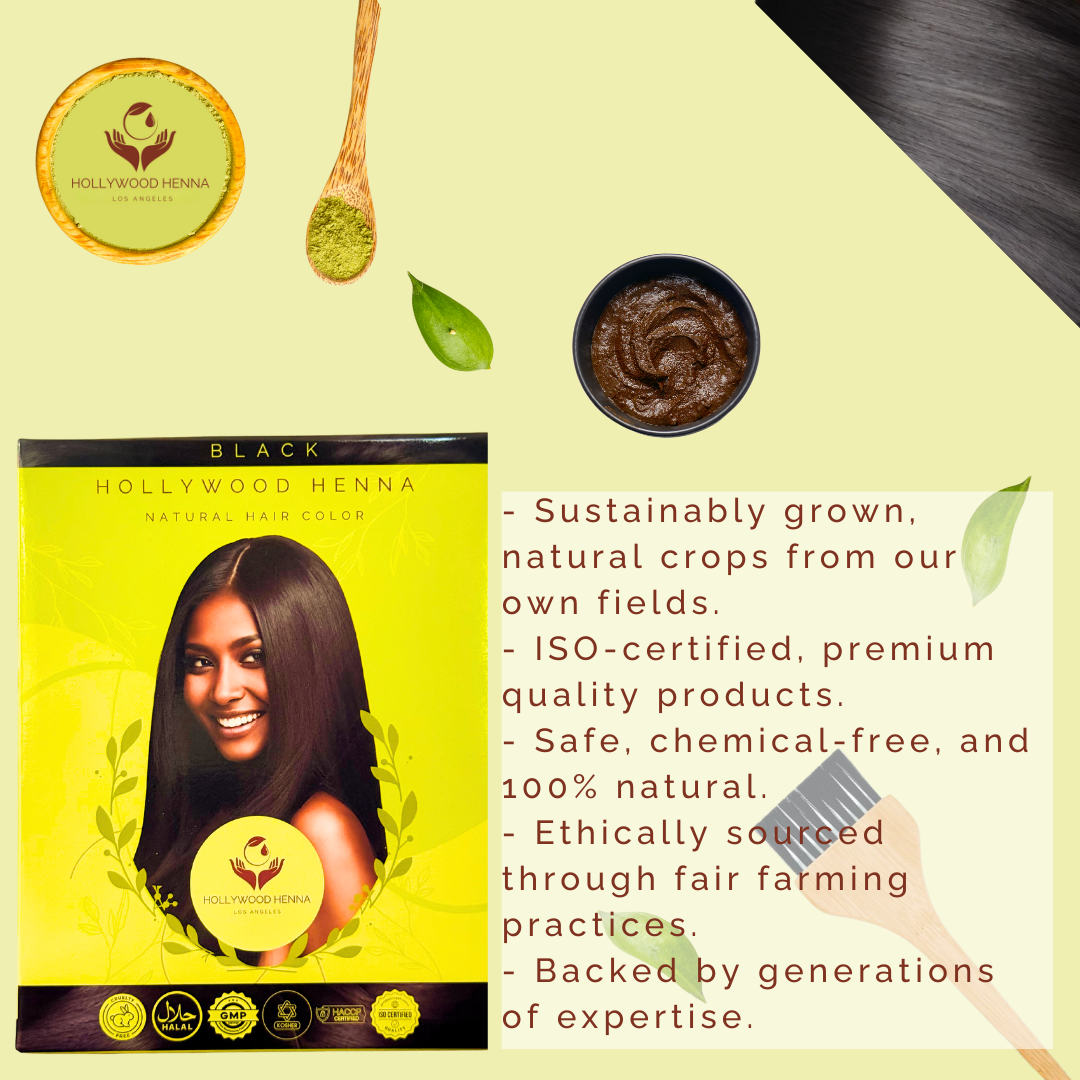 Black Henna Hair Color Kit - Ammonia-Free, Organic, with Application Tools (0.5 lbs)